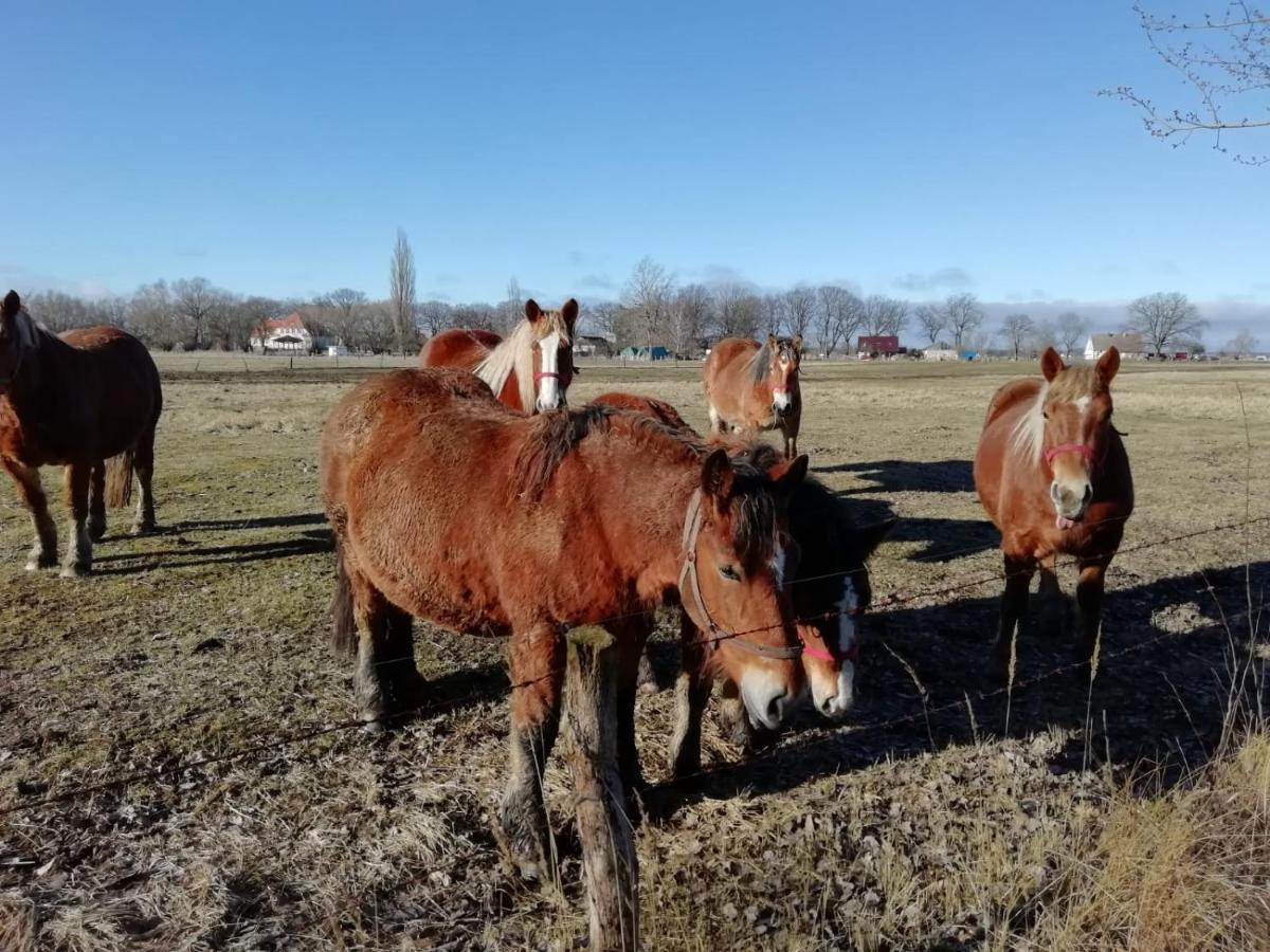 Domek Letniskowy Szuwarek Villa Świnoujście Екстериор снимка